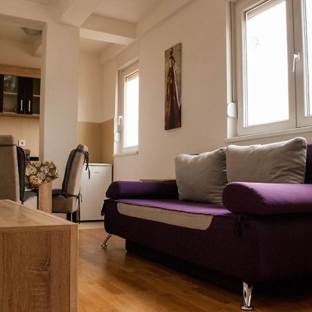 Apartman Soko Soko Banja Εξωτερικό φωτογραφία
