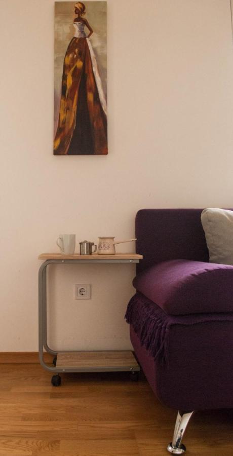 Apartman Soko Soko Banja Εξωτερικό φωτογραφία