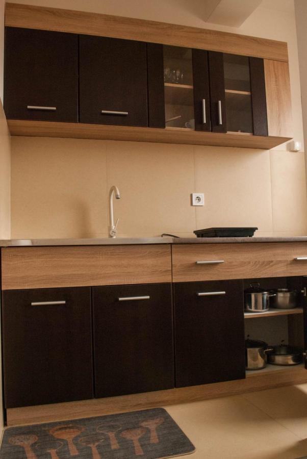 Apartman Soko Soko Banja Εξωτερικό φωτογραφία