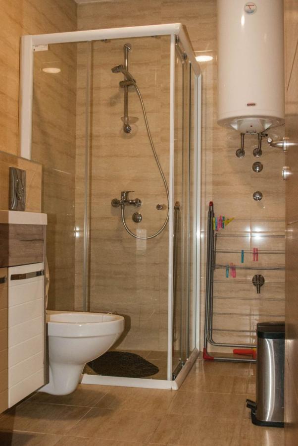 Apartman Soko Soko Banja Εξωτερικό φωτογραφία