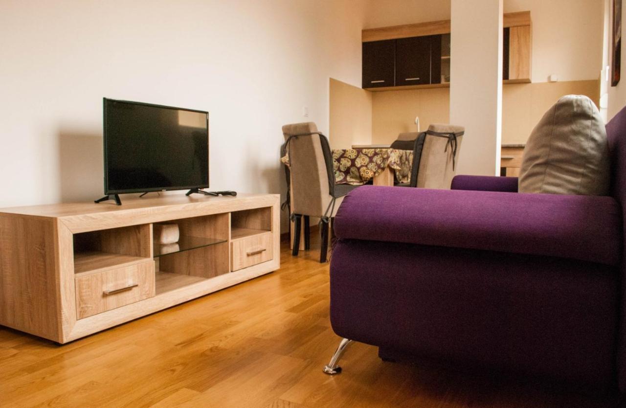 Apartman Soko Soko Banja Εξωτερικό φωτογραφία