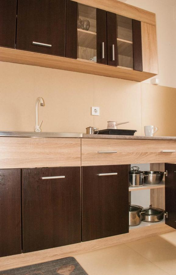 Apartman Soko Soko Banja Εξωτερικό φωτογραφία