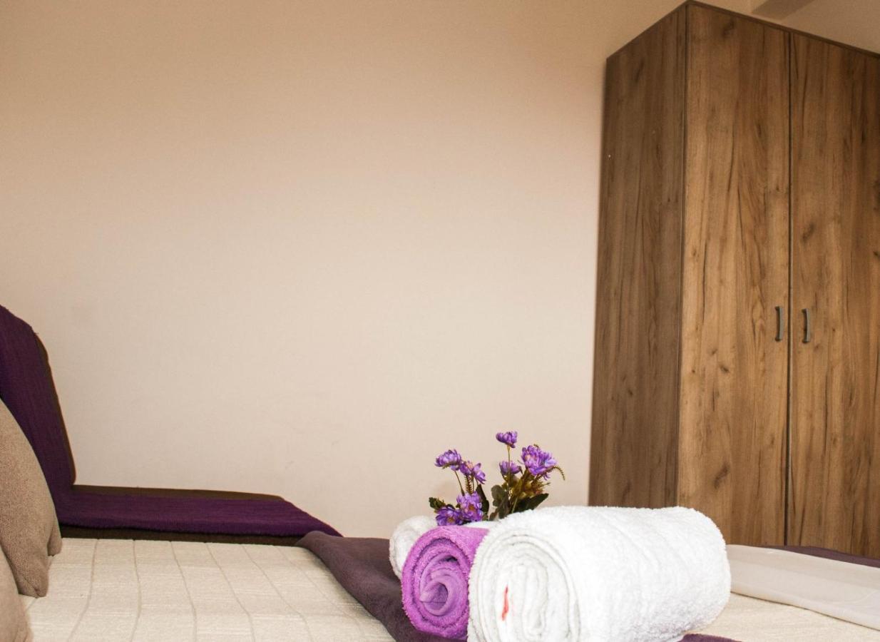 Apartman Soko Soko Banja Εξωτερικό φωτογραφία