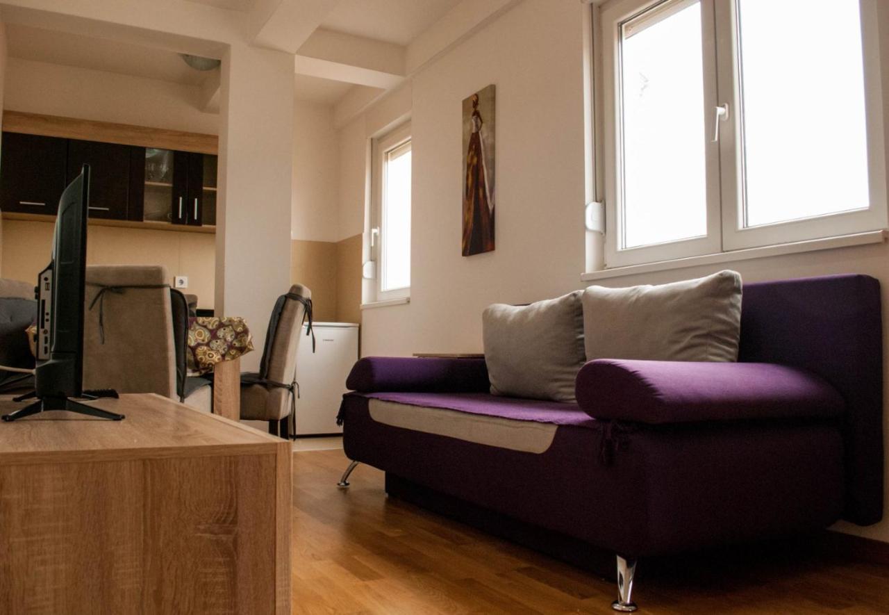 Apartman Soko Soko Banja Εξωτερικό φωτογραφία